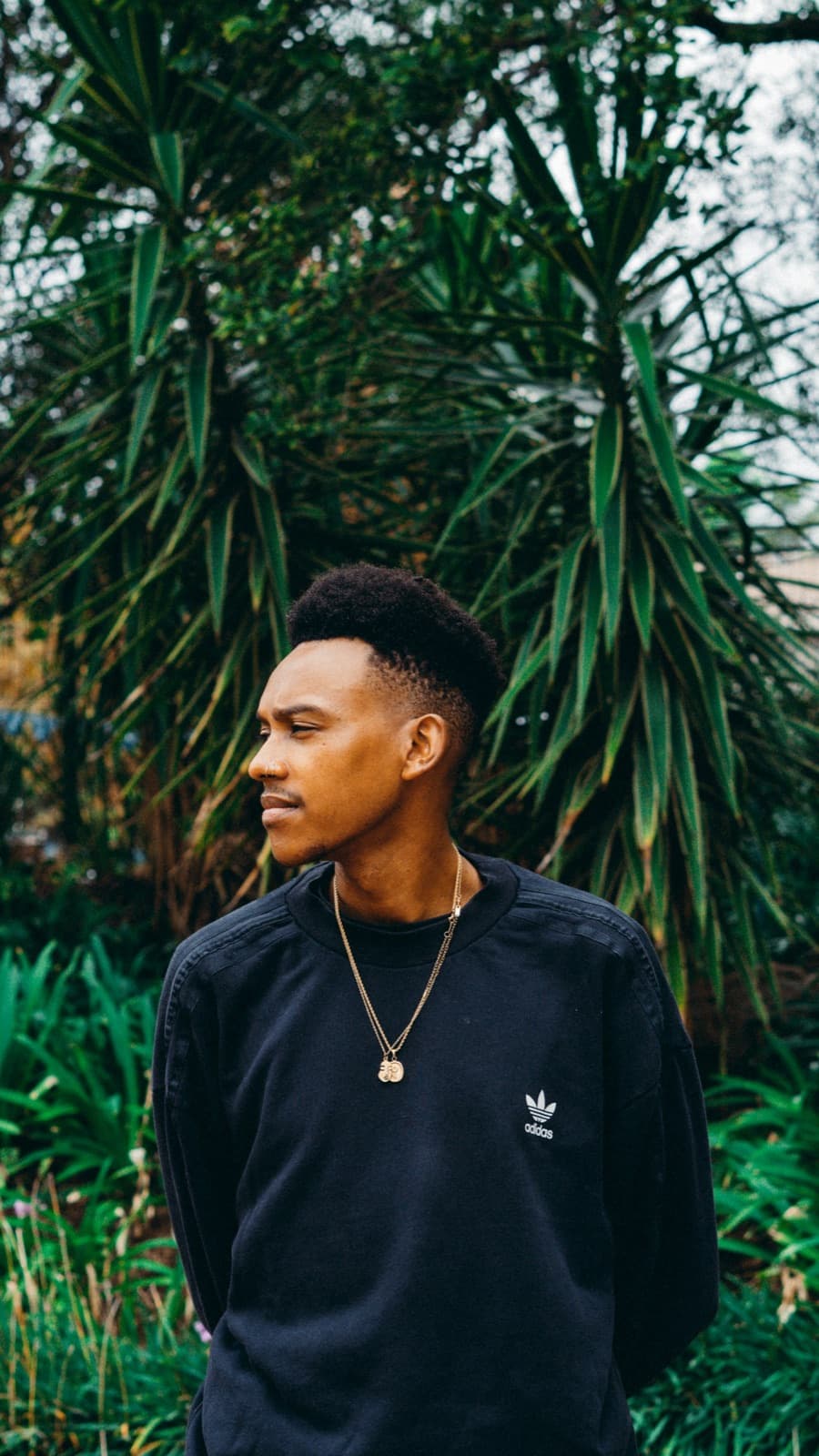 A young man in a black sweater in front of aloe plants